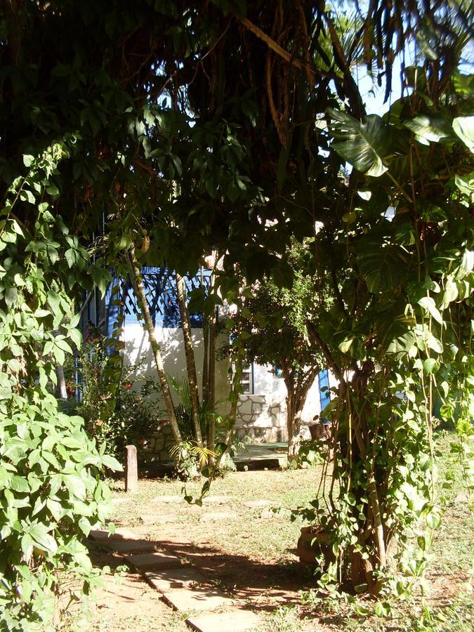Hotel Fazenda Barra Alegre Sao Jose do Goiabal エクステリア 写真