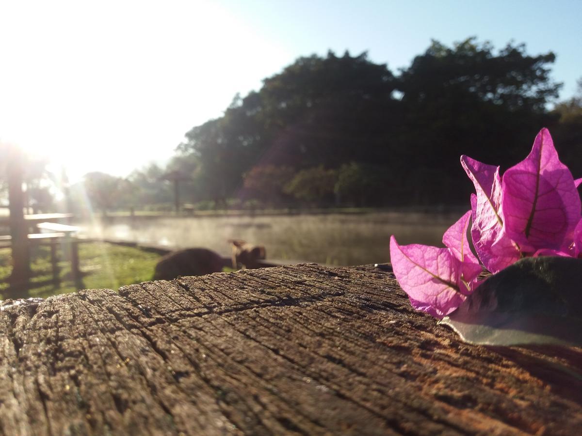 Hotel Fazenda Barra Alegre Sao Jose do Goiabal エクステリア 写真