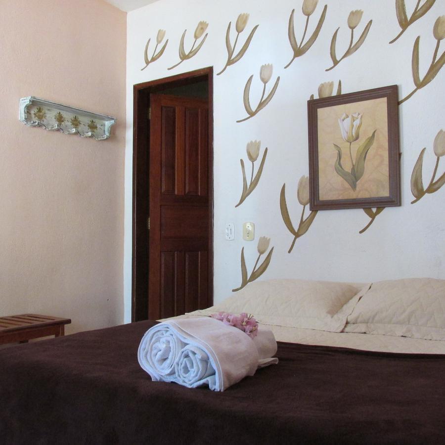 Hotel Fazenda Barra Alegre Sao Jose do Goiabal エクステリア 写真